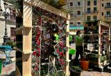 Roses de Reus 2023