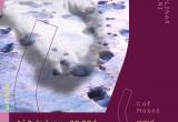 Cartell Paradigmes Introscòpic