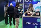 Estand del Hub a la fira de l'oli de les Borges Blanques