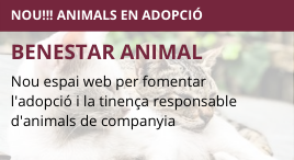 Accedeix a Nou espai web d'adopció d'animals