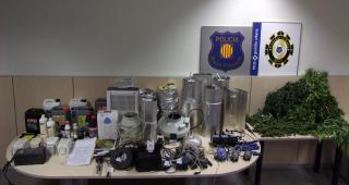 Guàrdia Urbana i Mossos d’Esquadra intervenen 216 plantes de marihuana en un pis a Reus