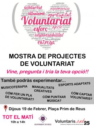 Cartell de la primera mostra de projectes socials de voluntariat