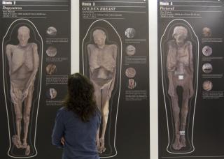 Exposició Projecte Montemhat