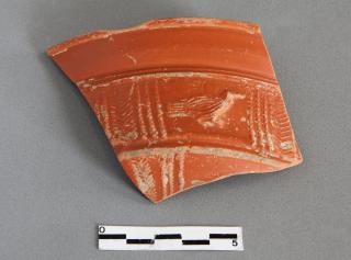 Imatge del fragment d'un vas d'època romana. Foto: Francesc Fernández / IMMR