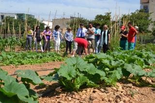 Visita a l'hort urbà municipal del barri de Sol i Vista i Immaculada.