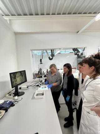 Instal·lacions del CRBMC