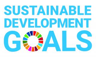 e_sdg_logo_without_un_emblem_square_cmyk.jpg