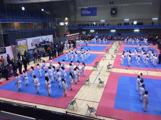 campionat_catalunya_karate_reus_2017.jpg