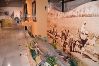 Imatge de l'exposició dedicada a Eduard Toda al Museu de Reus