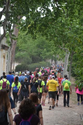 Foto de la caminada