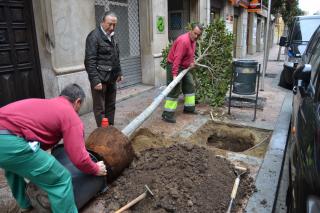 La regidoria de Via Pública inicia un pla per arranjar els escocells en mal estat