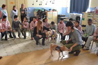 L’Ajuntament porta a les escoles un programa per treballar el respecte i la solidaritat amb gossos ensinistrats