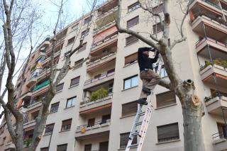 Instal·lació de sistemes sonors de control d’ocells