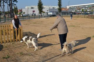 Foto de l'espai d'higiene per a gossos del barri Juroca