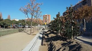 Foto dels arbres plantats al parc del Ferrocarril