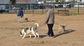 Imatge de ciutadans passejant gossos en una àrea d'esbarjo a Reus