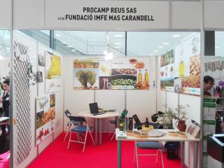 Estand empresa PROCAMP a la Fira Internacional d'Empreses Simulades
