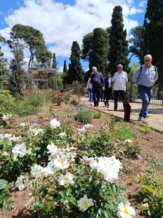 Visita del jurat de Viles Florides