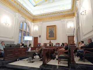 Ple meses electorals