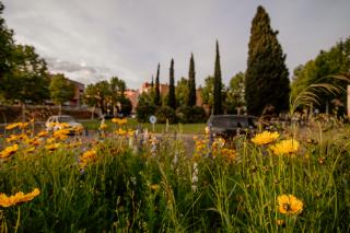 Jardineria barri Gaudí