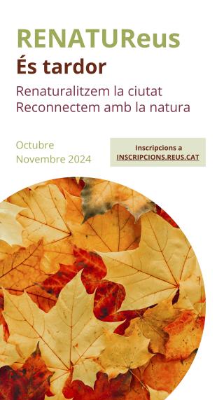 Imatge de RENATUReus de tardor