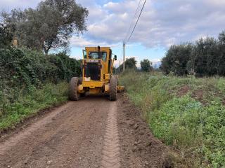 Arranjament camins