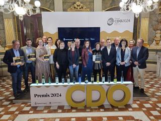 Lliurament premis CDO 2024