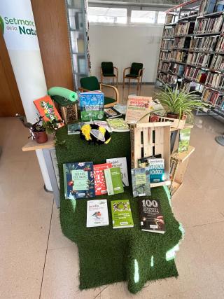 Exposició Dones pioneres a Europa a les Biblioteques Municipals