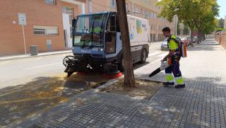 Neteja i recollida de flors caigudes dels arbres a la via pública