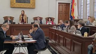 Ple de l'Ajuntament de Reus