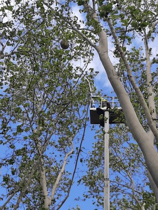 Actuació feta a la Boca de la Mina