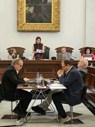 Ple de l'Ajuntament de Reus