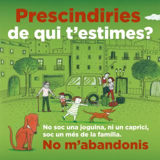Cartell campanya prevenció abandonament d'animals