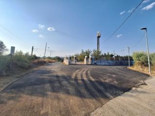 Imatge del tram asfaltat del camí dels Cinc Ponts