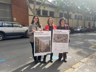 Presentació de l'estudi previ del complex residencial públic de Pich Aguilera