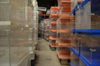 Urnes electorals