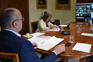 Ple telemàtic