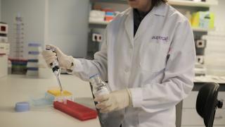 Nutrisalt investigadora