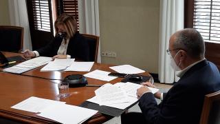 Sessió telemàtica del ple de l'Ajuntament de Reus