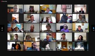 Ple telemàtic
