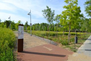 Parc de les Olors del passeig de la Boca de la Mina