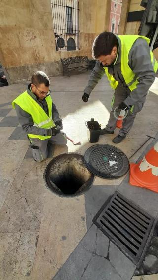 Control de plagues d'Aigües de Reus