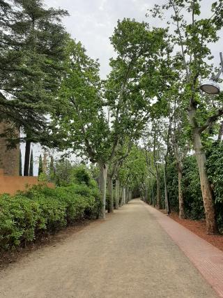 Passeig de la Boca de la Mina