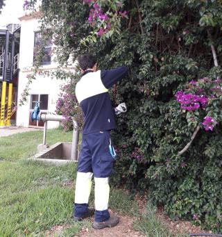 Treballs de jardineria en instal·lacions d'Aigües de Reus