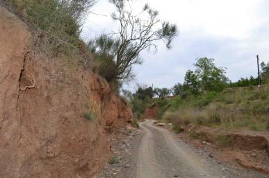 Riera de la Selva