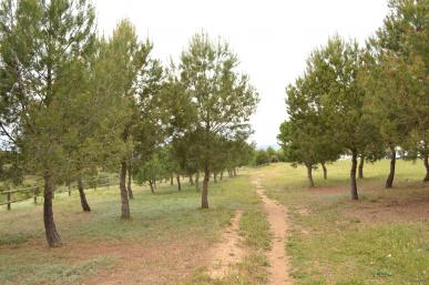 Parc del  Roquís