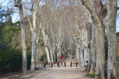 Passeig de la Boca de la Mina