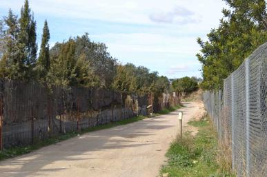 Camí dels Morts