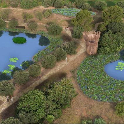 Projecte bassa naturalitzada Accedeix a Projecte bassa naturalitzada