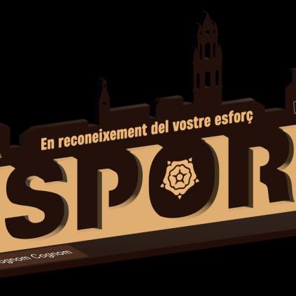 Accedeix a Premi “Esport, superació, esforç, valors”